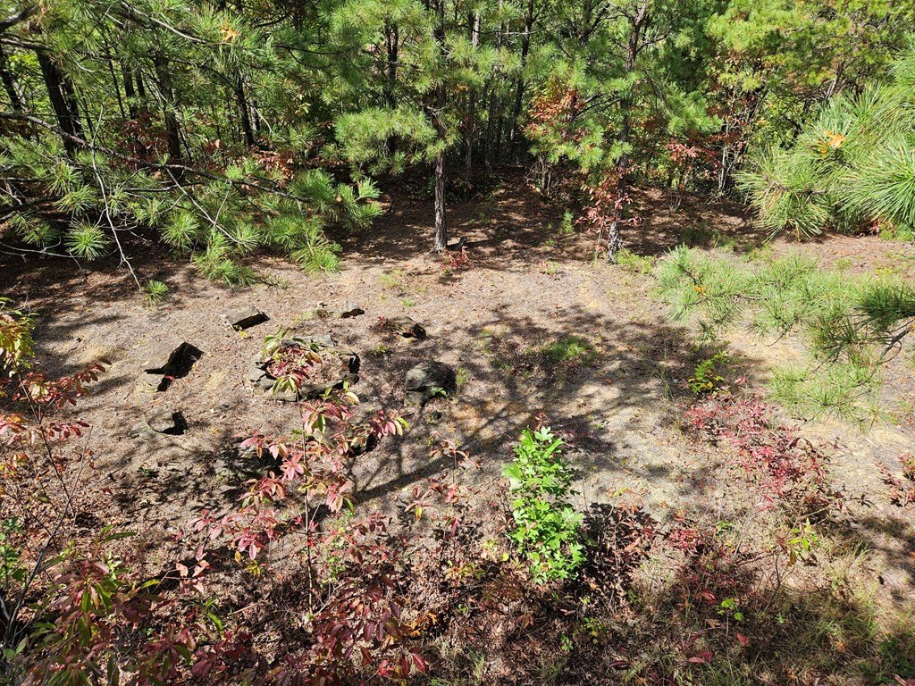 Picture 13