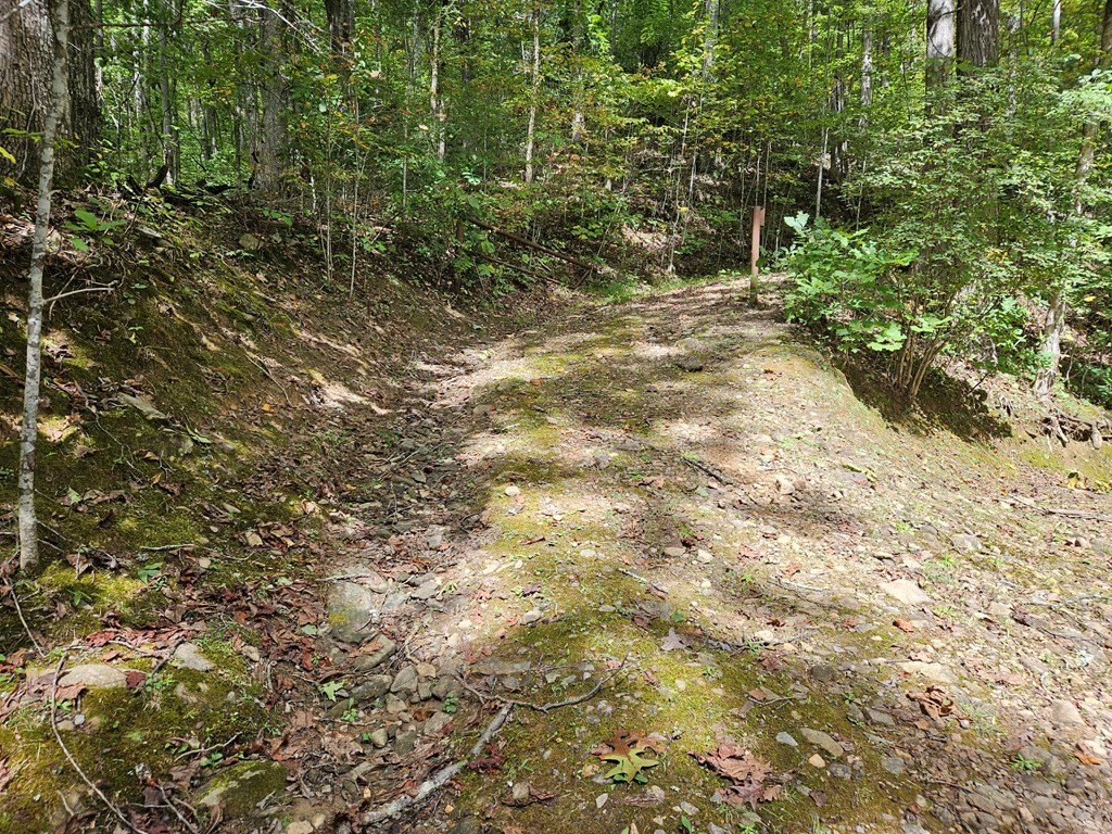 Picture 28