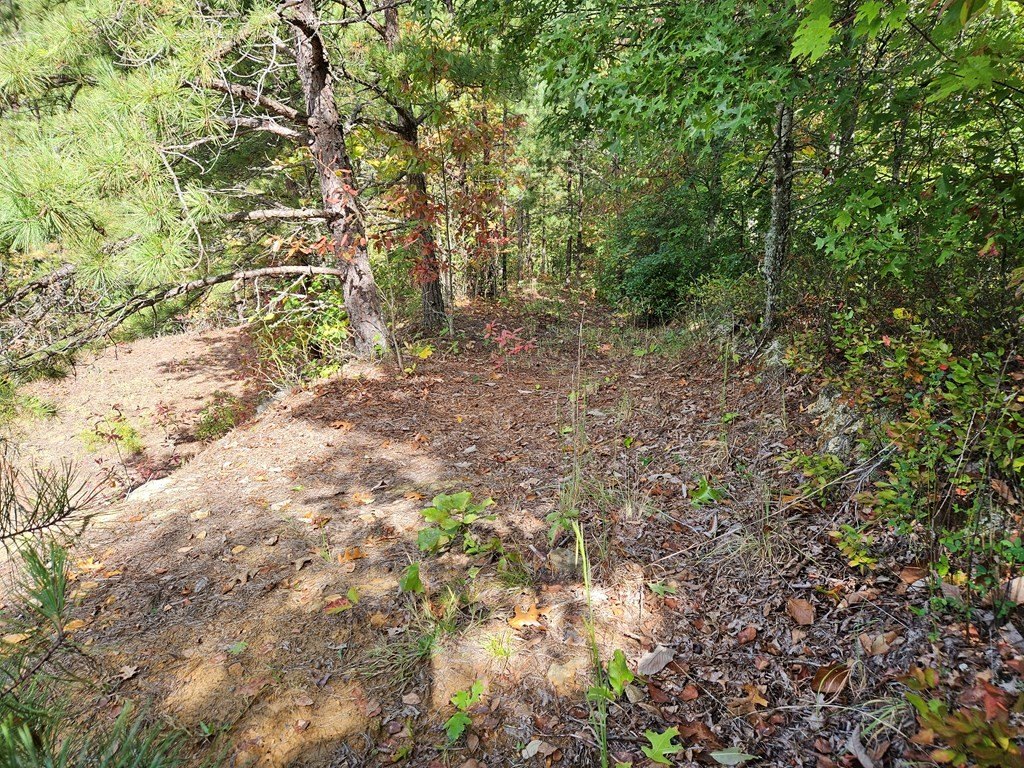 Picture 14