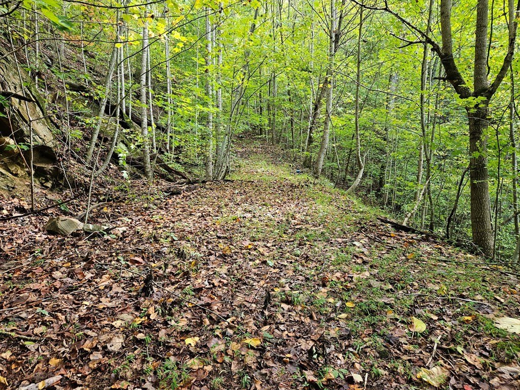 Picture 21