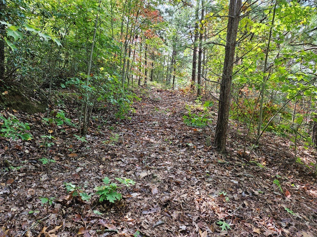 Picture 16