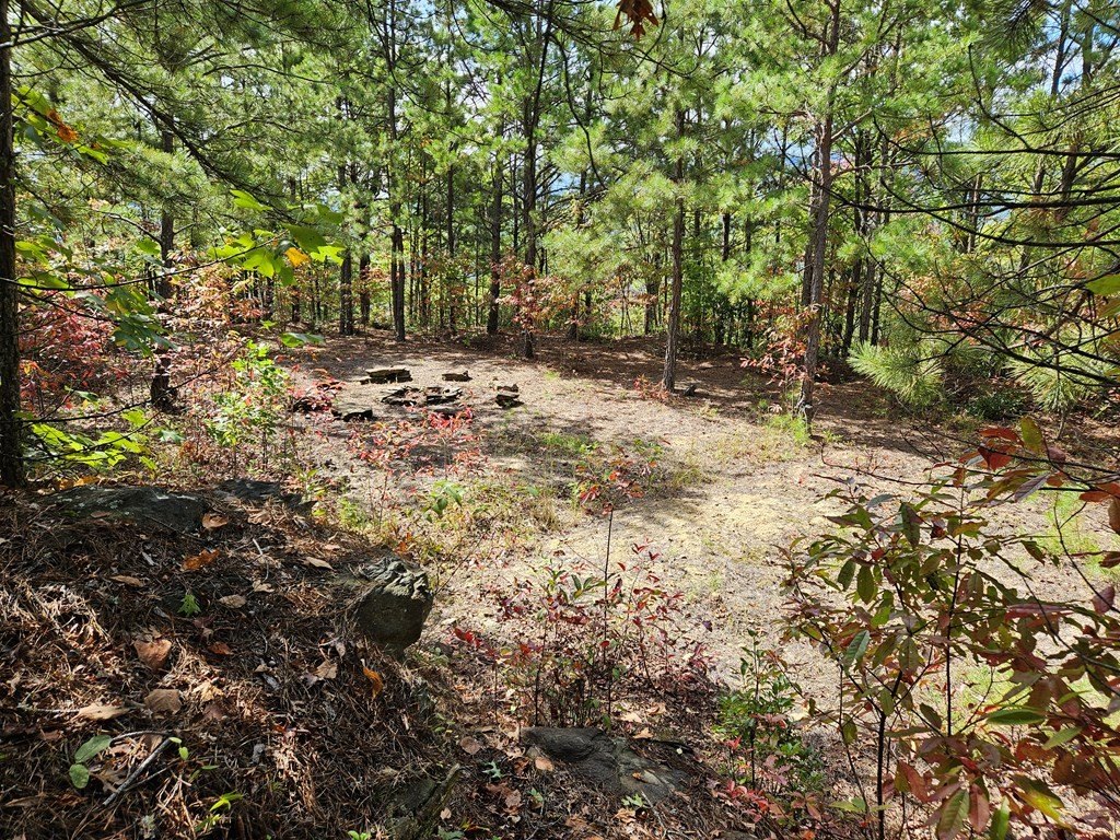 Picture 15