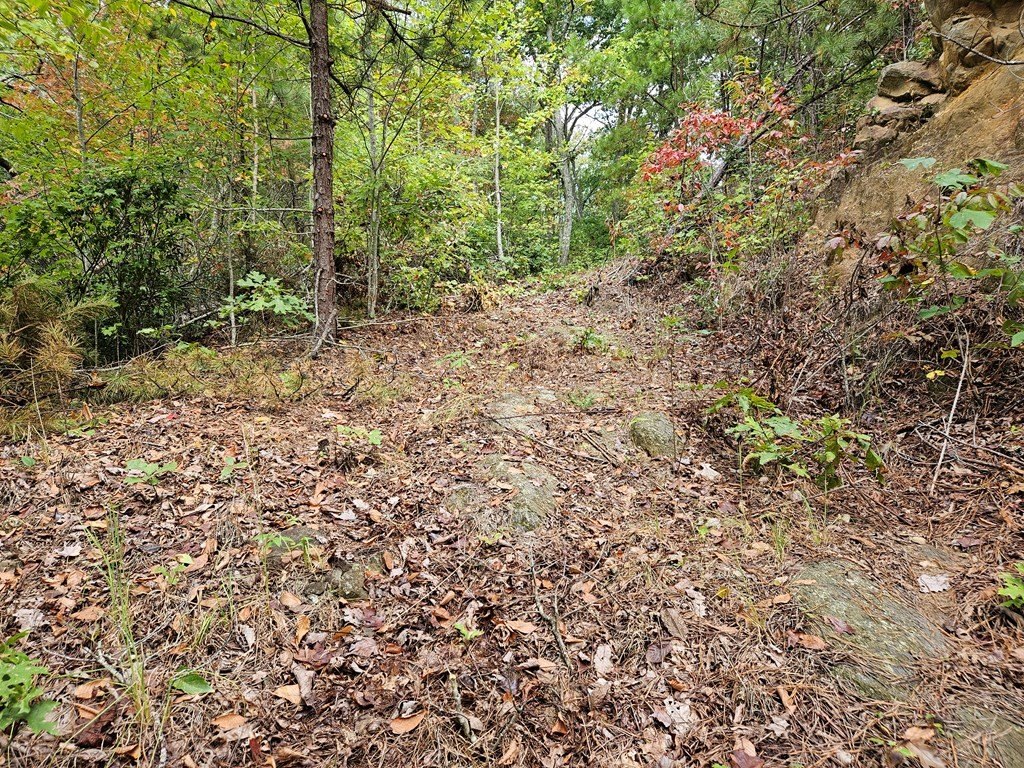 Picture 18