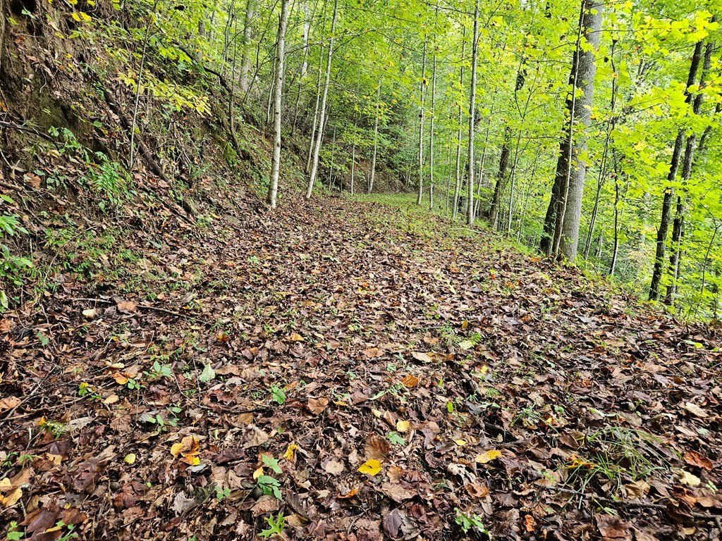 Picture 23