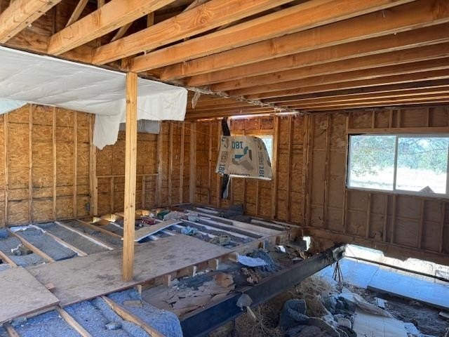 Picture 17