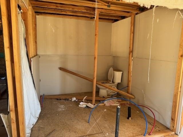 Picture 19