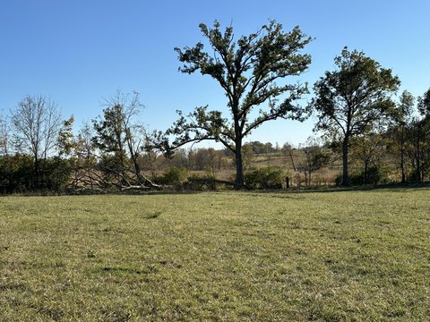 Georgetown Land Opportunity