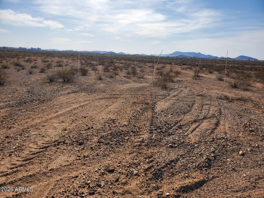 Picture 11
