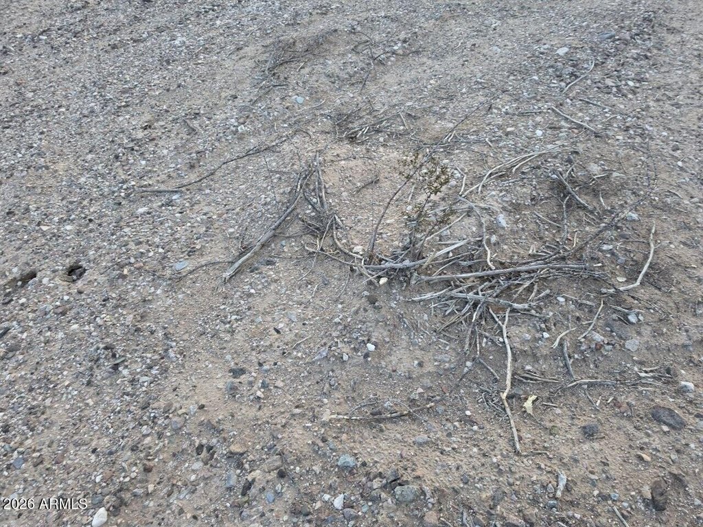 Picture 19