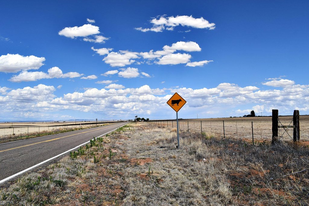 Picture 32