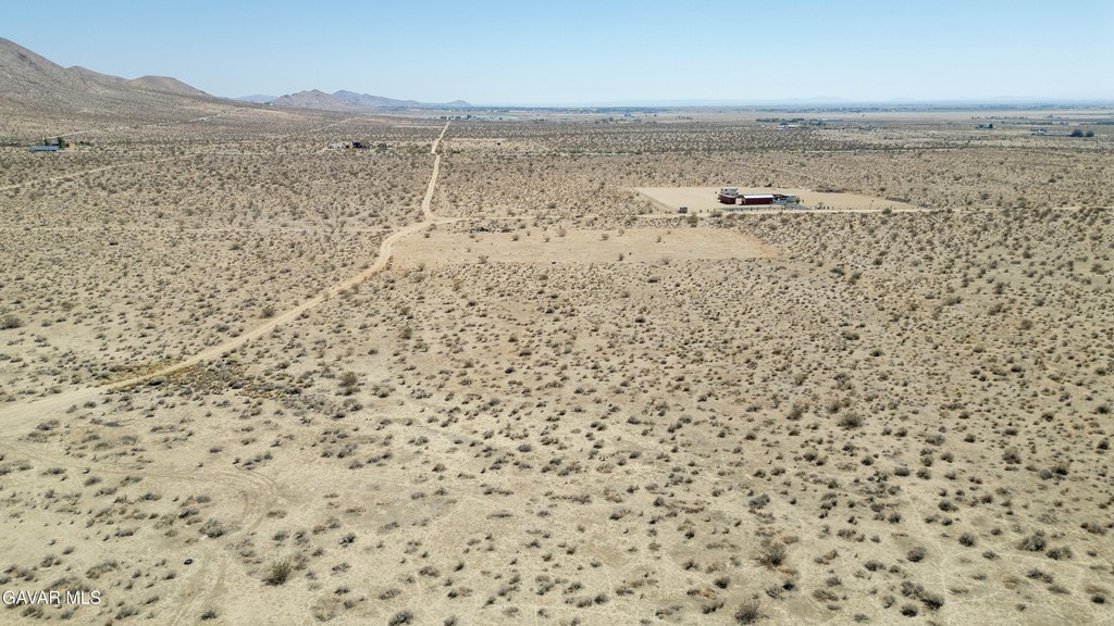 Picture 6