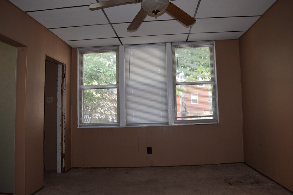 Picture 7