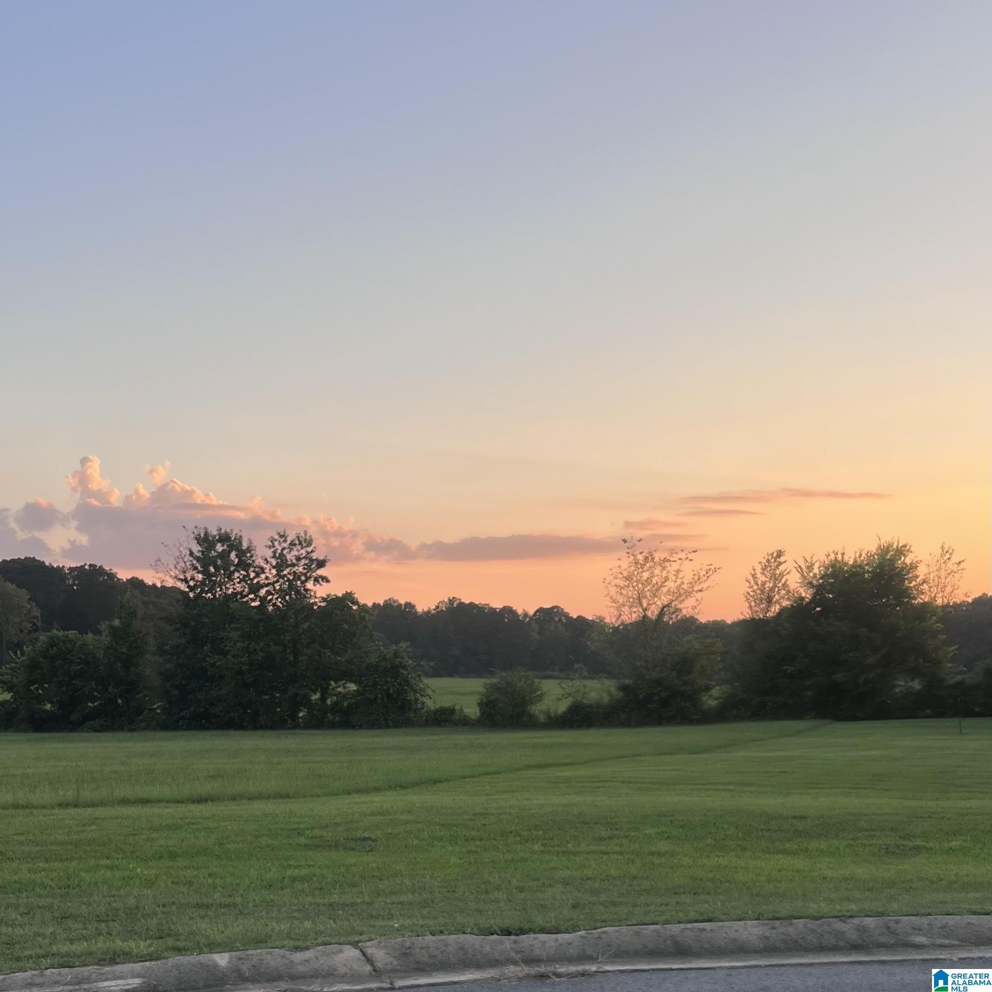 Residential Lots in DORA, AL