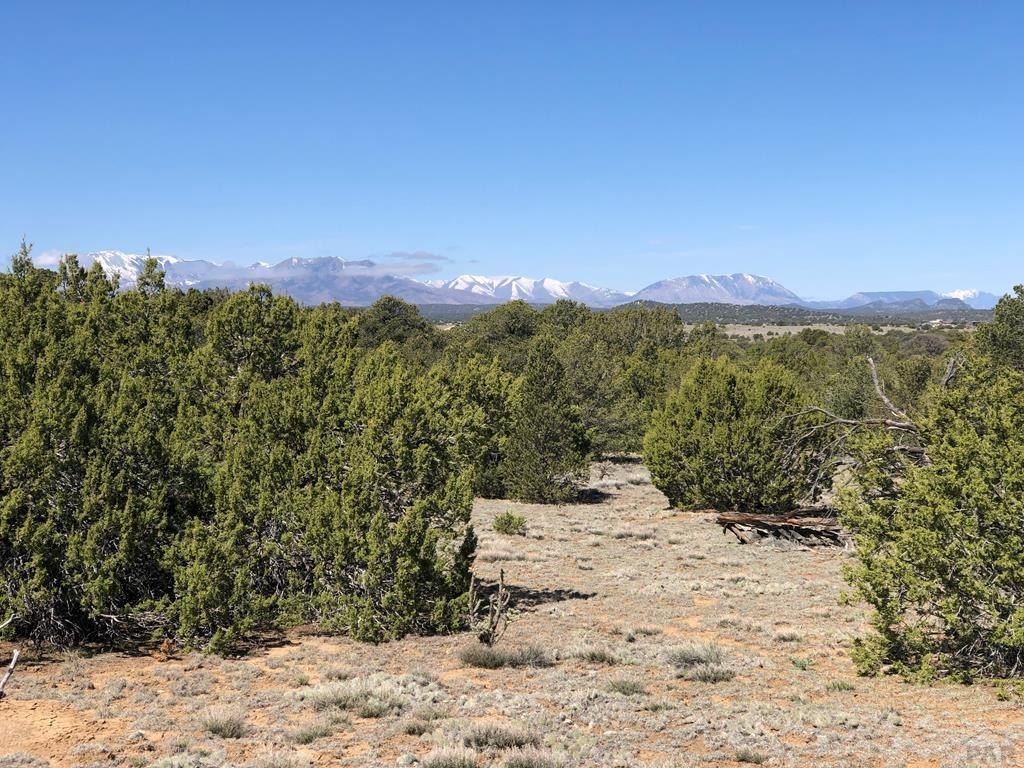 Land Backing Lathrop State Park