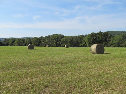 Huntsville, AR Vacant Land