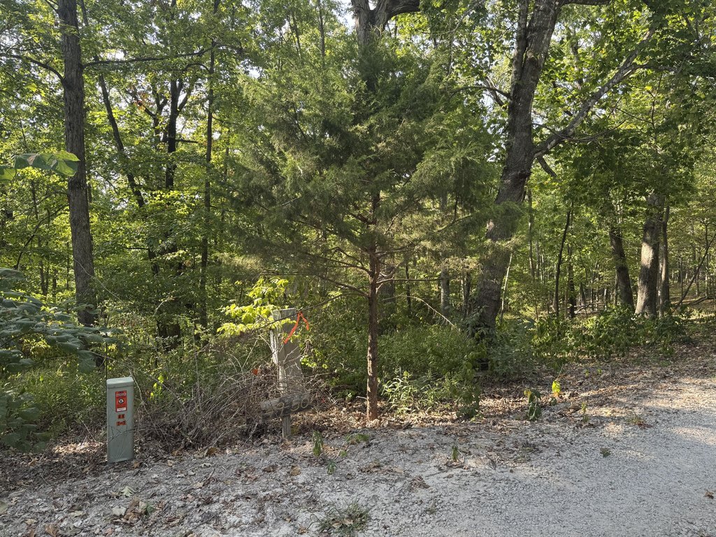 Picture 5