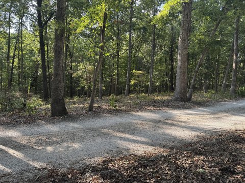 Land, Cassville, MO