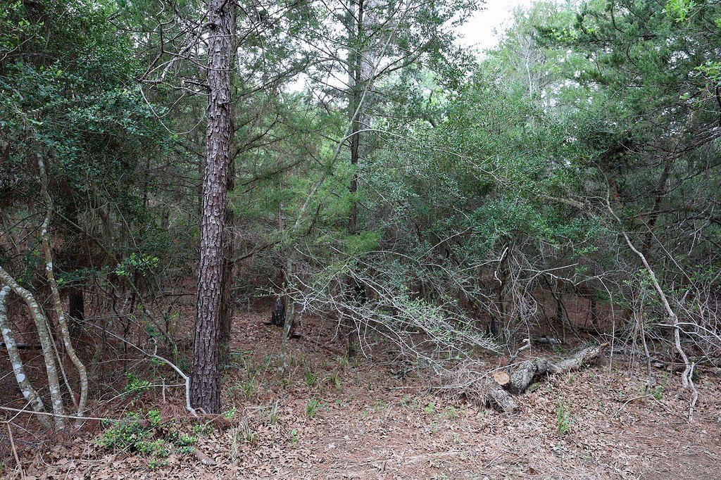 Picture 8