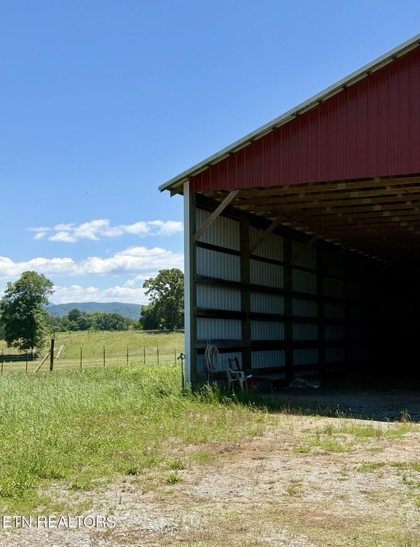 Picture 14