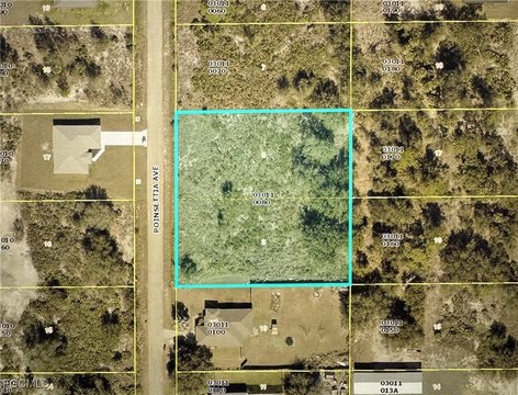 Lehigh Acres One Acre Lot