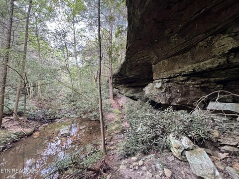 Secluded Land with Creek Frontage