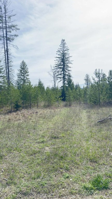 Picture 14