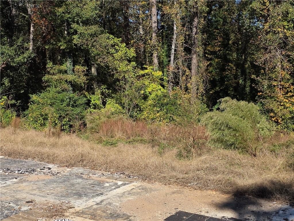 Picture 19