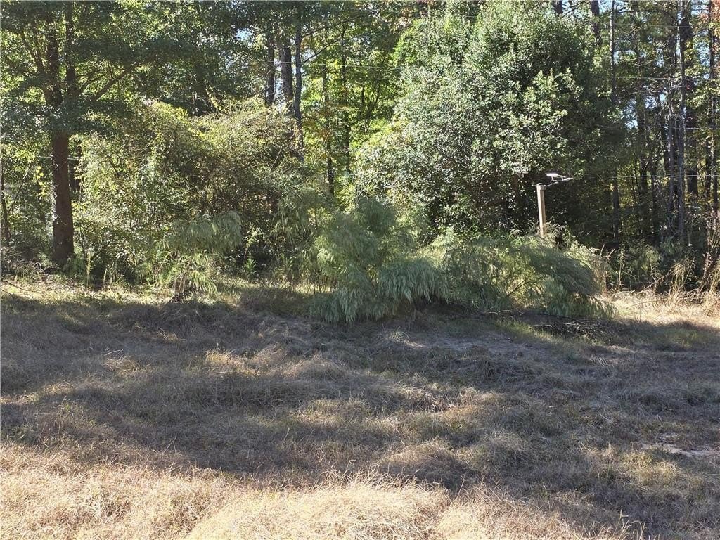 Picture 11