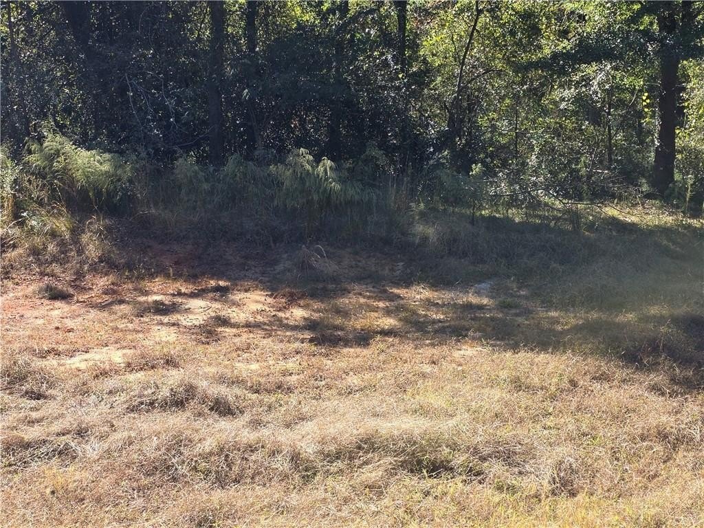 Picture 14