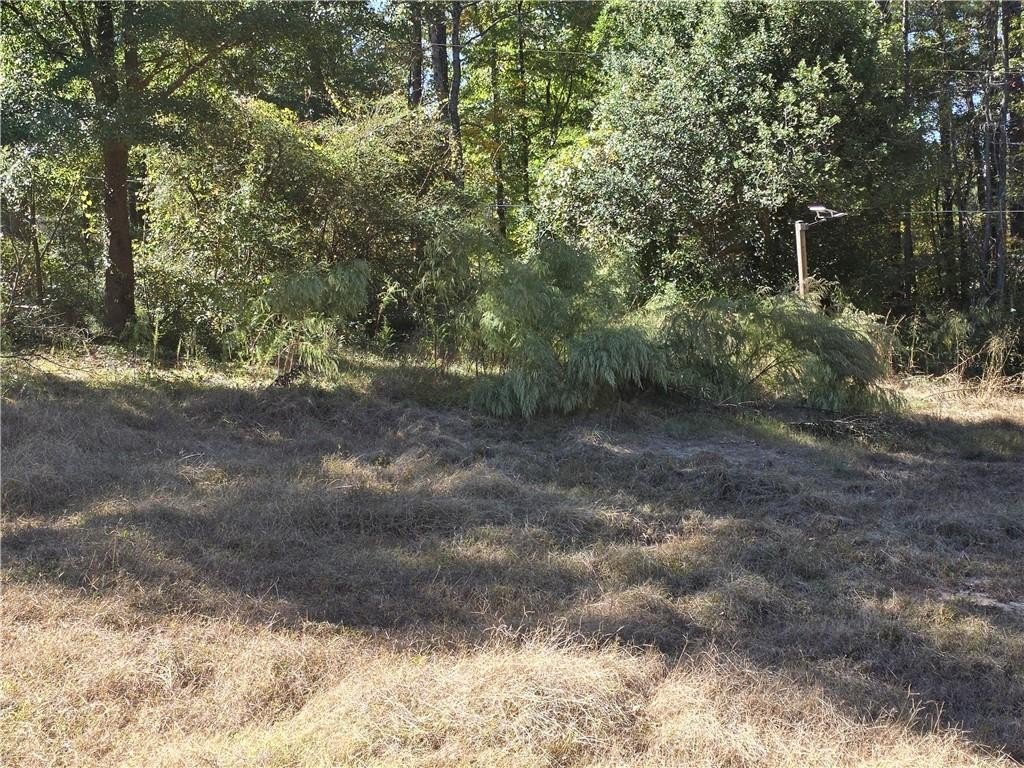 Picture 13