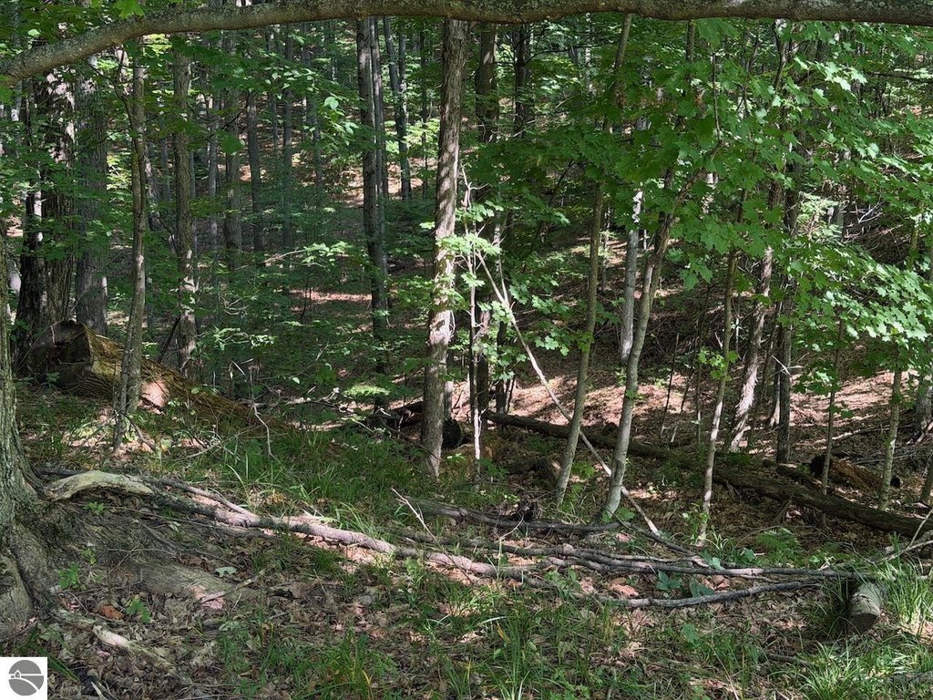 Picture 13