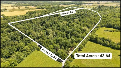 Heavily Wooded Hunting Land