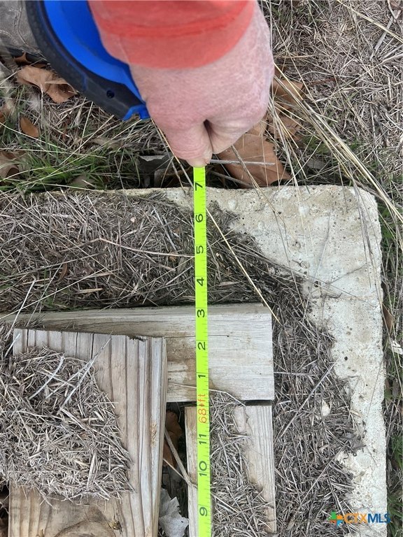 Picture 2