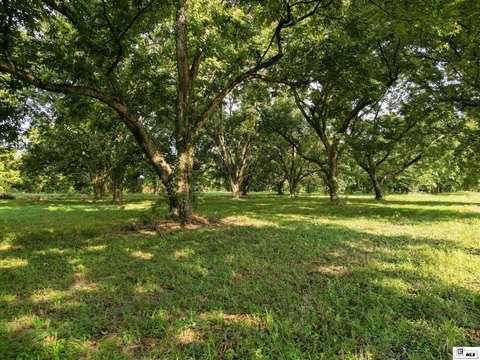 LAND - Tallulah, LA