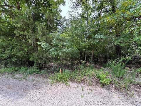 Cross Property - Gravois Mills, MO