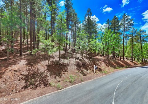 Pinetop Land with Recreation Privileges