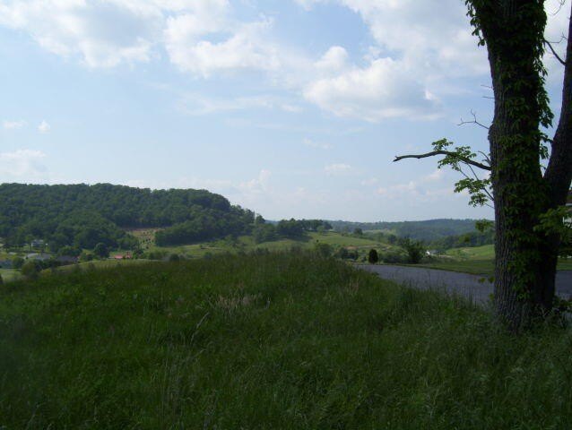 Picture 9