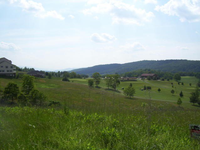 Picture 8