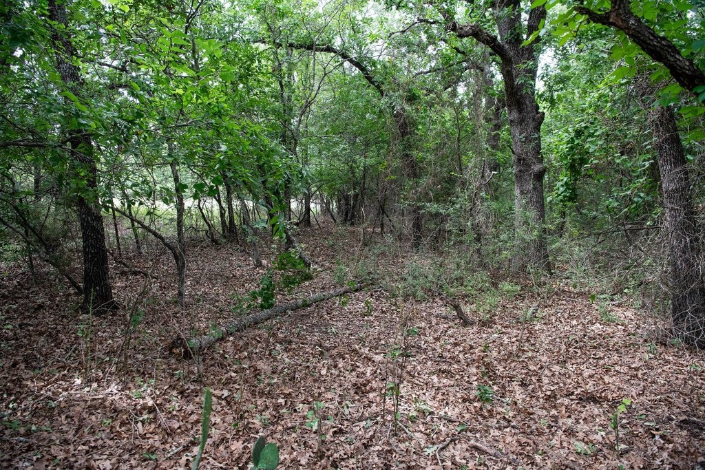 Picture 36