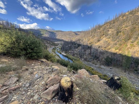 66 Acres of Mining Land