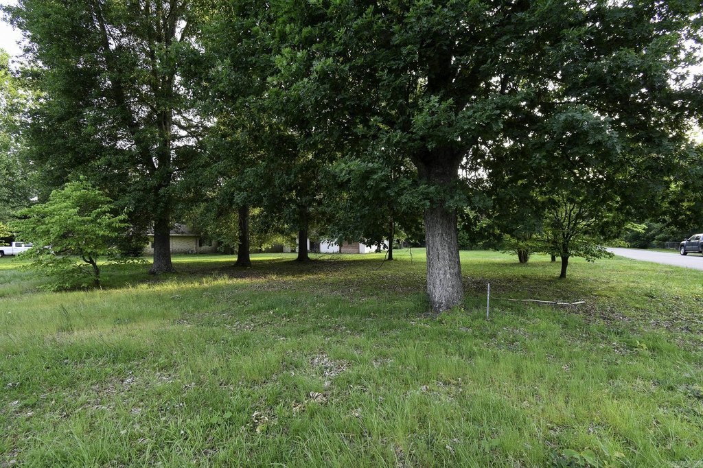 Picture 17