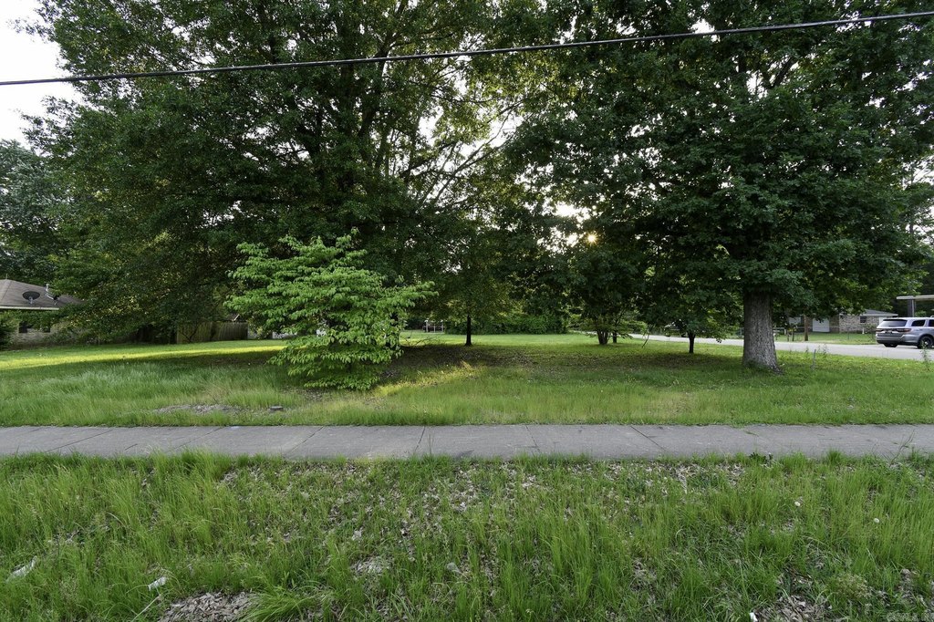 Picture 15