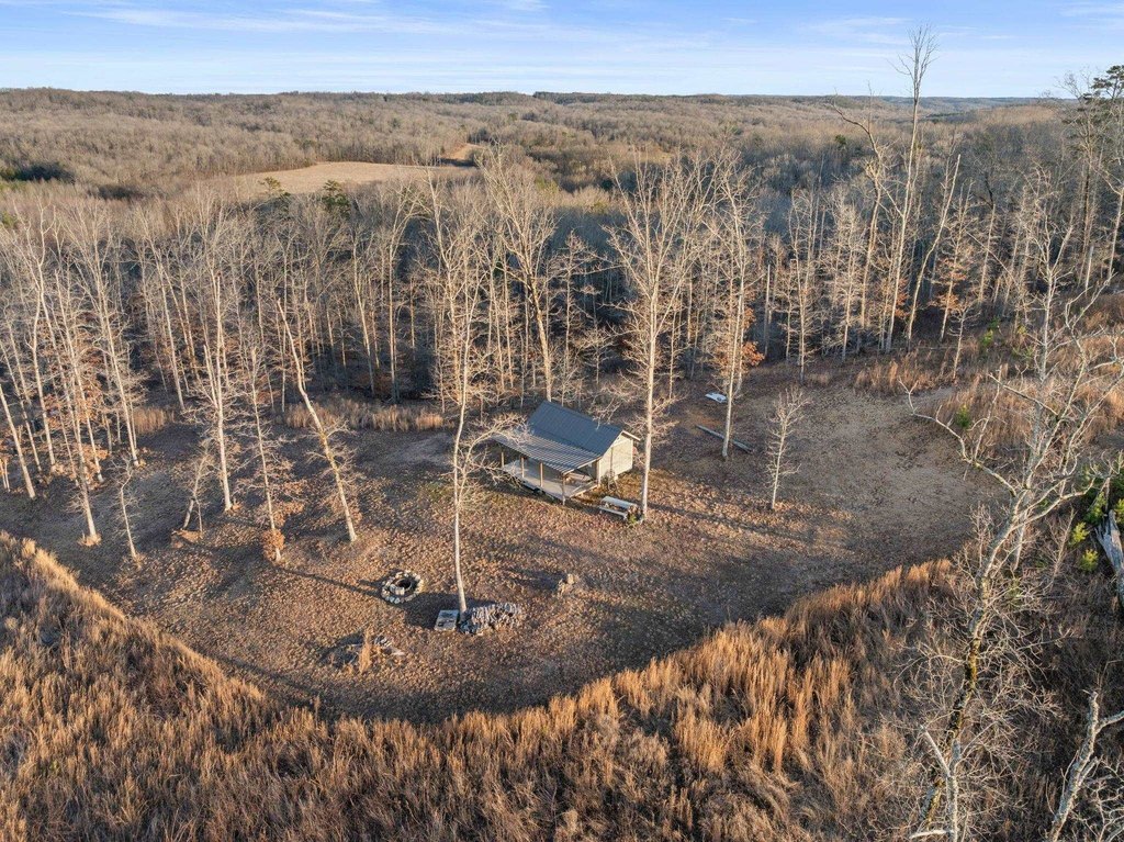 Picture 5