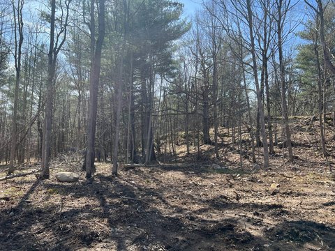 Hammond Vacant Land For Sale