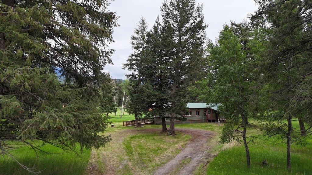 Picture 11