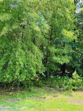 LAND - Heber Springs, AR