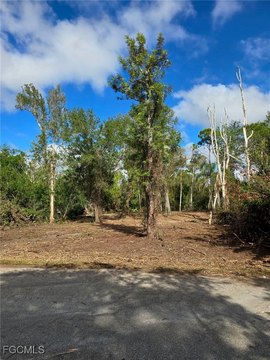 Residential Lot in Punta Gorda