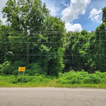 Holly Springs Commercial Land Opportunity