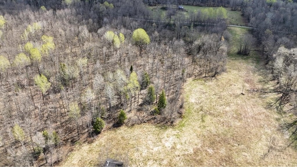 Picture 22