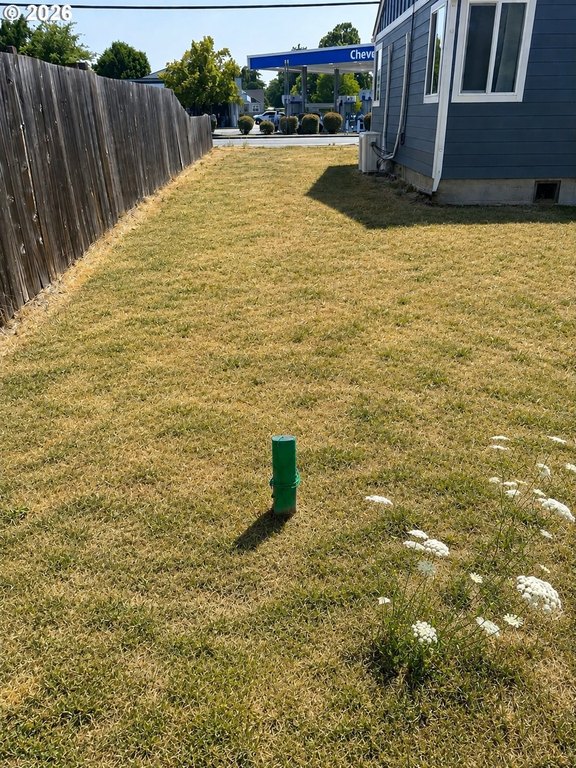 Picture 4